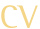 CV